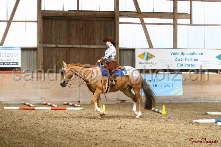26-ApHC GT_189.jpg